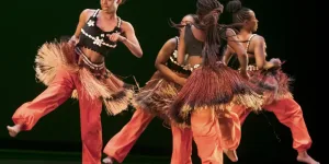 Festival Danses et Continents Noirs à Toulouse
