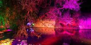 Nuit de lumière au château de Vincennes